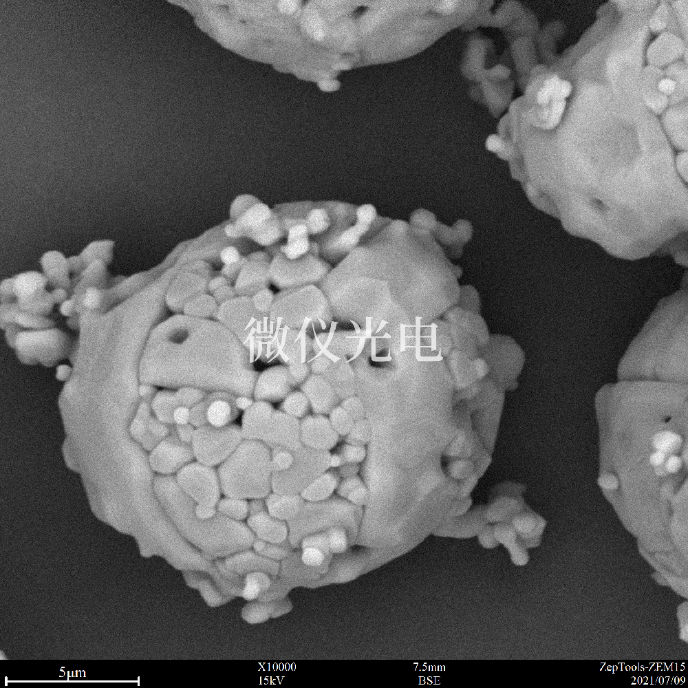 掃描電鏡在鋰電池電極材料的應(yīng)用